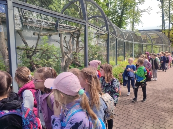 zoo na zewnatrz