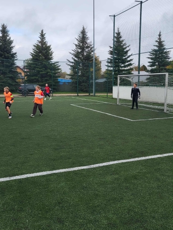 bc6f40bf-a924-4d2c-a0d7-abd162dde761.jfif