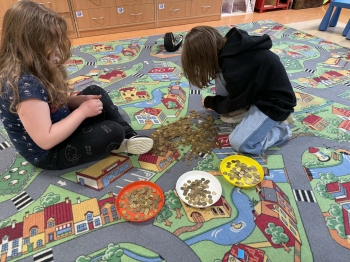 7dd1b2ef-cb2a-409e-bcb5-f0a3147b2987