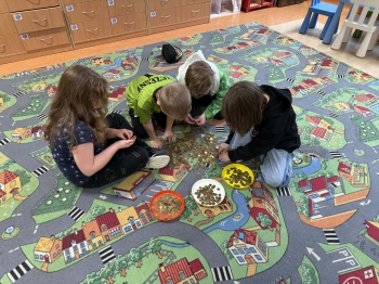 7a23091b-35c5-479c-b930-9edca859919e