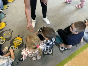 fe558ca3-a3bc-426b-873a-7dde67aa26c6