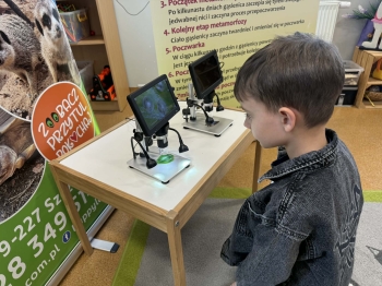 528c7c39-781f-4134-9fb5-e9845e8e9e52