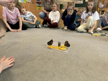 e3360655-3a88-4647-985e-5a5a346051e5