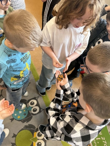 45a0a2c5-43c0-4531-9a67-aed042b78c3f