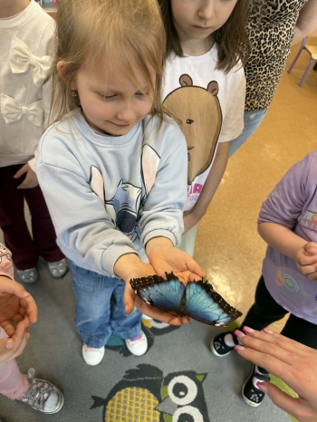 829e1907-d23b-486e-8650-f8c560a0fd10