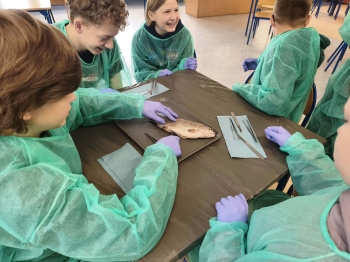 09cebb2d-c204-47b2-a991-e6221e9db3ae