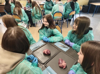 22bf5973-1665-4ab5-900d-028f6c6e3d85