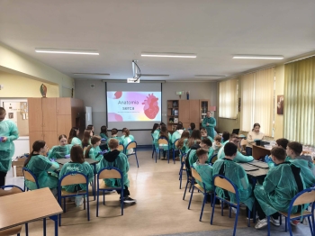 475b50ed-5840-4007-9271-bfb84e46a89e