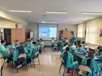 cce2b28d-ca4a-4f04-82af-06ab3985d568