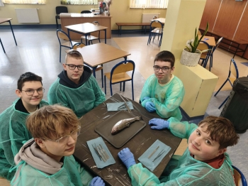 d72aaeec-6d1b-4838-bae5-258a155f0f2e