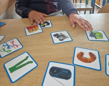 fd3b3a1b-e308-45cd-9a23-537619743865