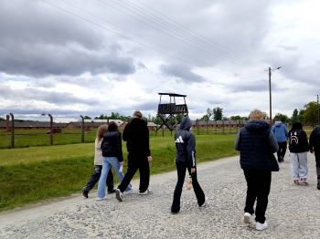 Auschwitz (1)