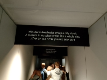 Auschwitz (8)