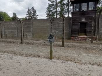 Auschwitz (19)