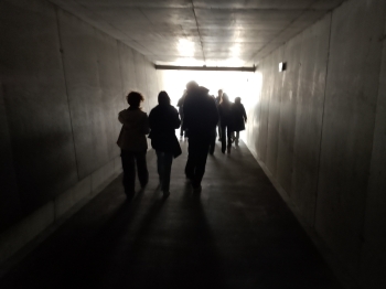 Auschwitz (29)