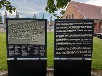 Auschwitz (35)