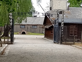 Auschwitz (40)