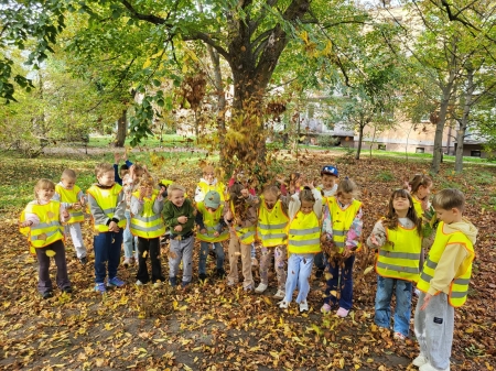 Lekcje przyrody w terenie – odkrywamy las i park!